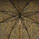 PASOTTI Men's Dragon Umbrella - look 7